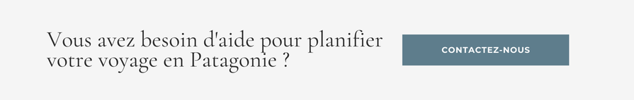 Vous avez besoin d'aide pour planifier votre voyage en Patagonie ?  Contactez-nous! 