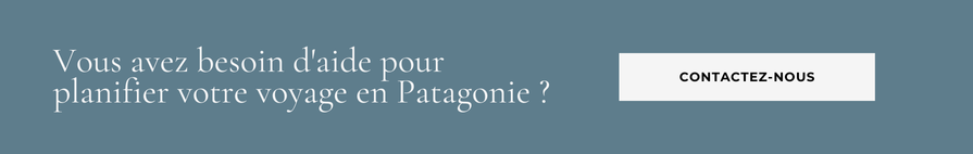 Vous avez besoin d'aide pour planifier votre voyage en Patagonie ?  Contactez-nous! 