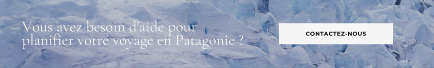 Vous avez besoin d'aide pour planifier votre voyage en Patagonie ?  Contactez-nous! 
